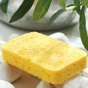 Compostable Household Sponge