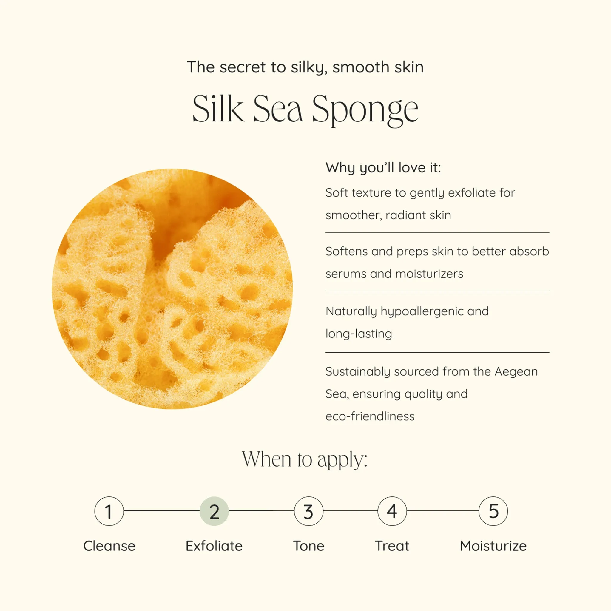 Silk Sea Sponge