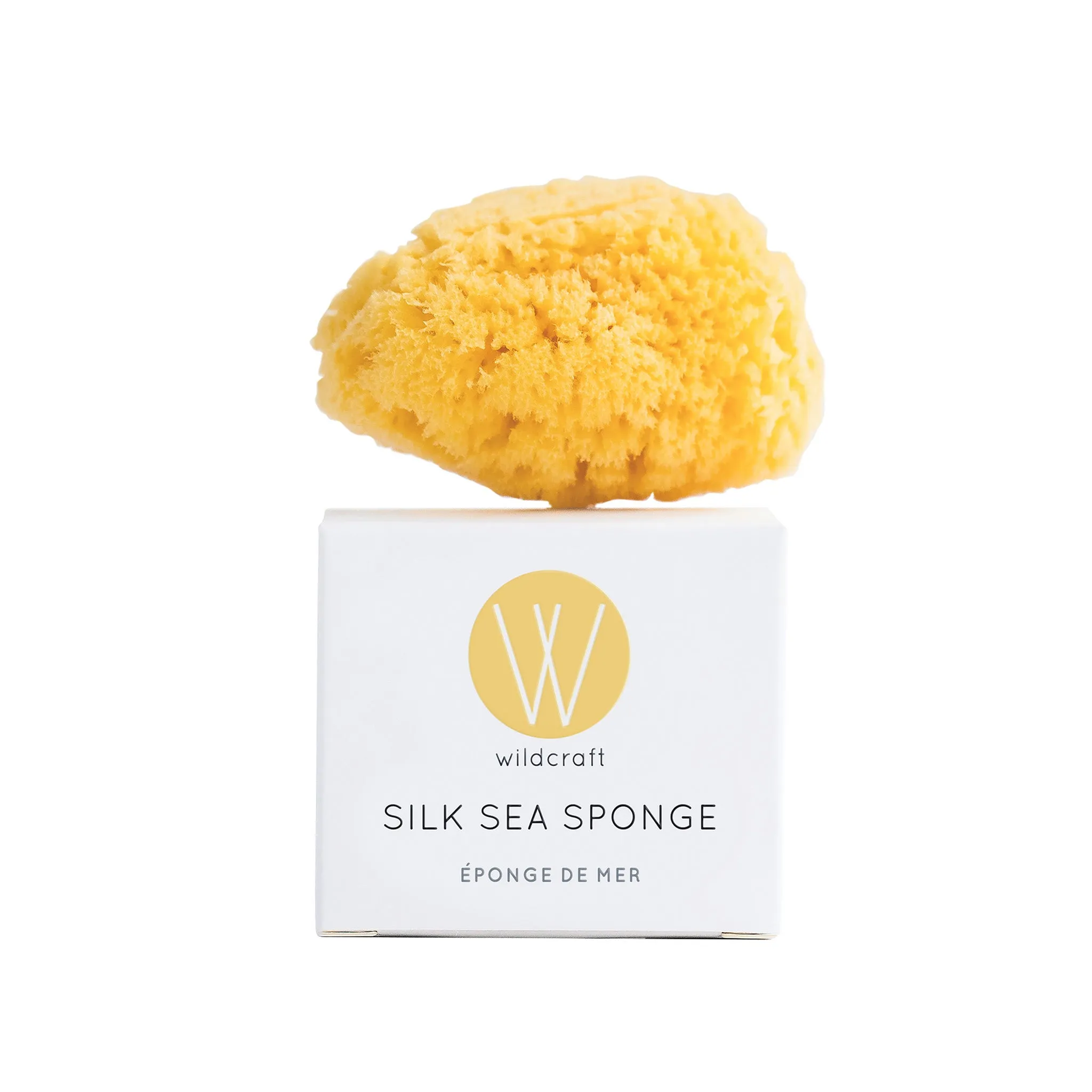 Silk Sea Sponge