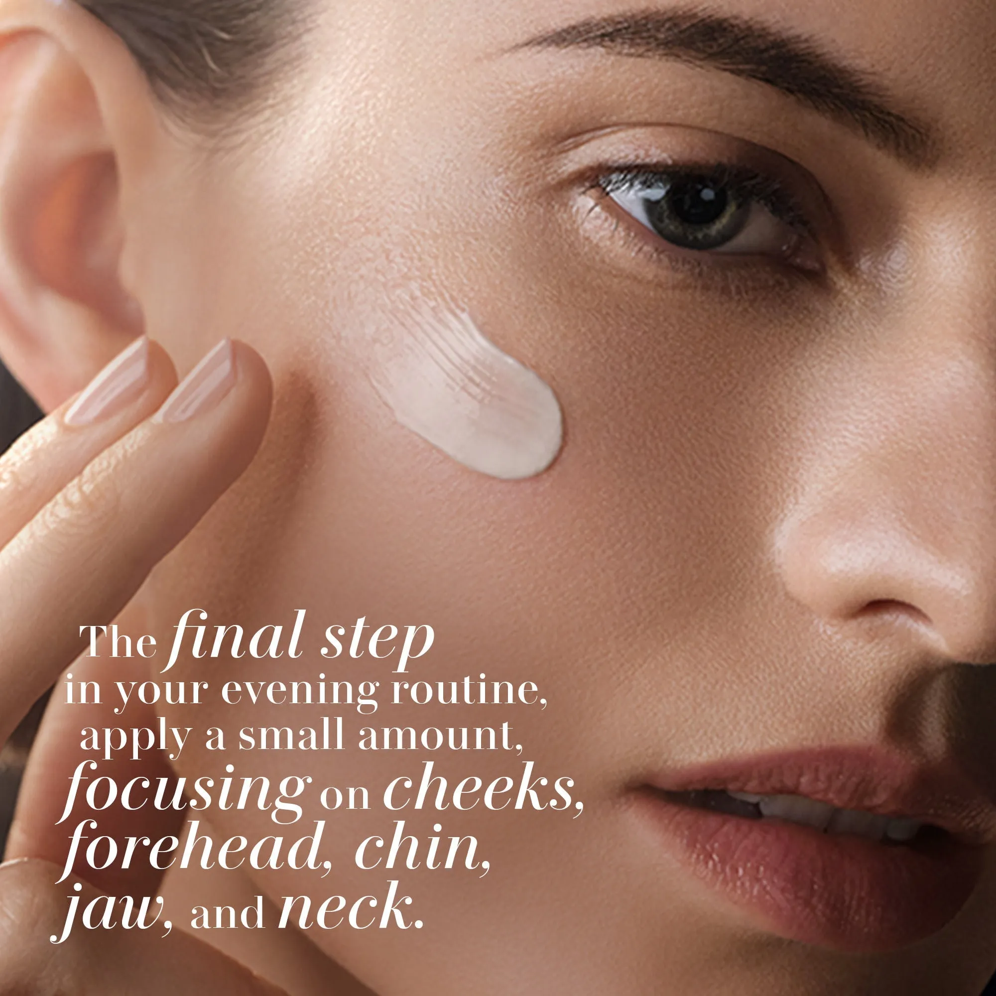 The Rejuvenating Night Cream